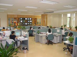 亚昕科技（安庆）有限公司（台资 财务）